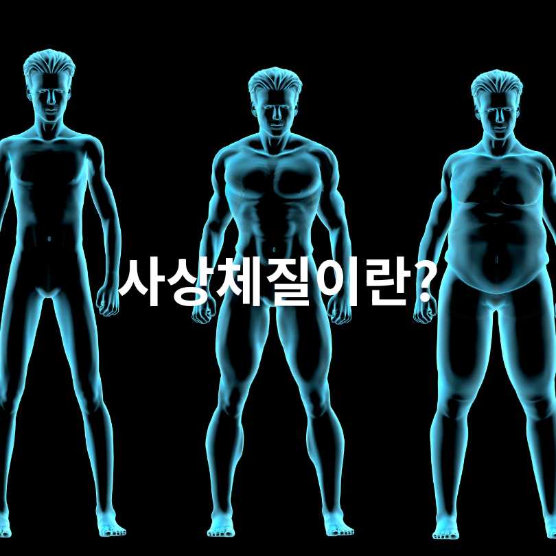 사상체질 자가진단: 태양인, 태음인, 소양인, 소음인 차이점과 테스트