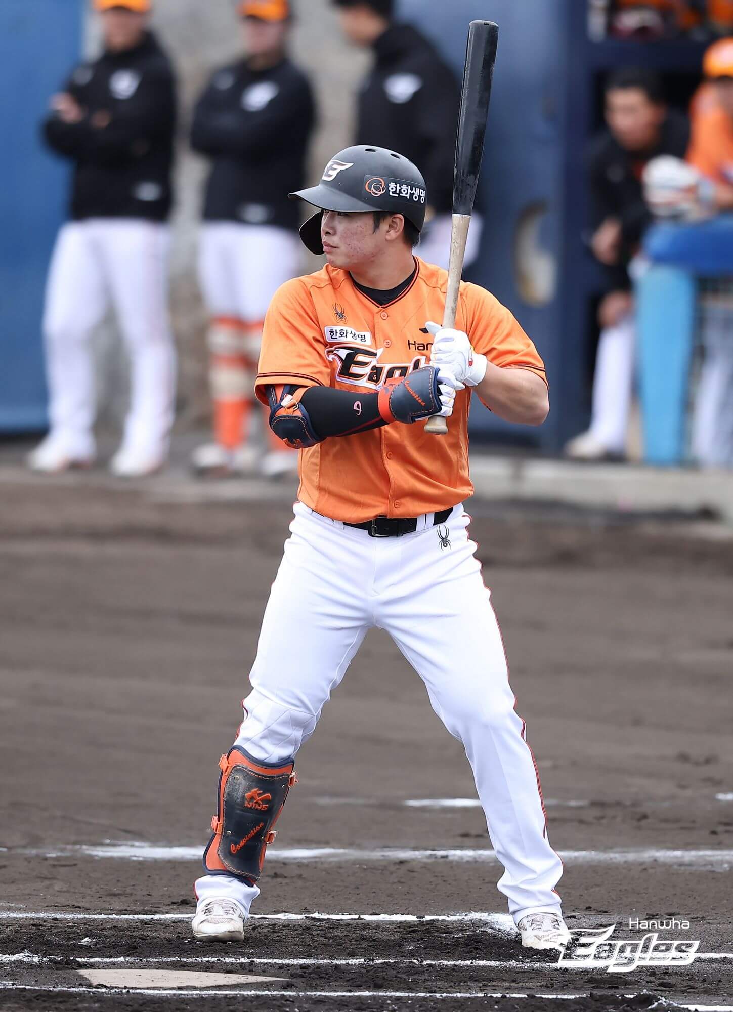 2024 한화 이글스 티켓 할인 예매&amp;#44; 무료 주차&amp;#44; 좌석 종류 및 특징&amp;#44; 경기일정 및 결과