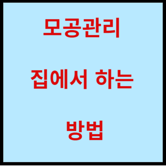 모공관리-집에서-하는-방법-안내-글