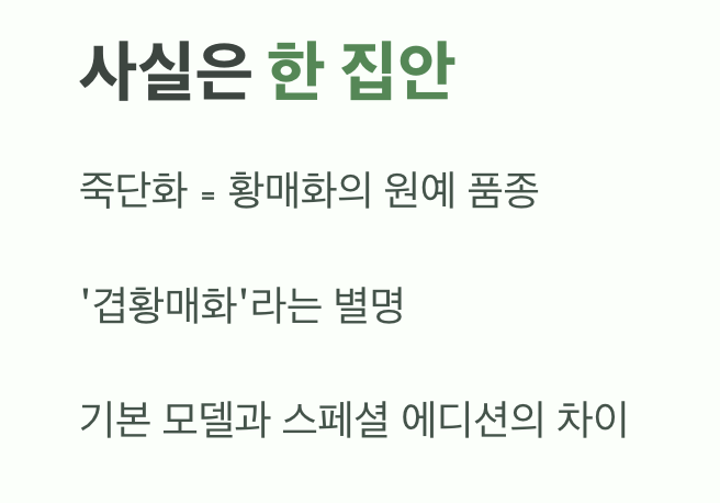 사실은 한 집안, '겹황매화'라는 별명