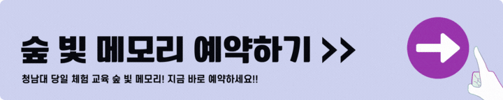 청남대 숲 빛 메모리