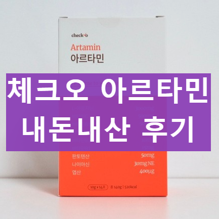 체크오 아르타민