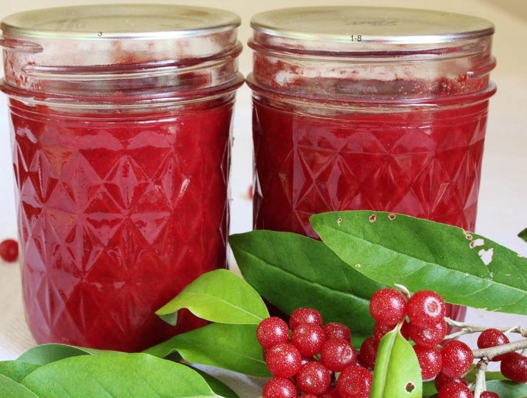 보리수열매 효능 4가지 및 보리수 열매 먹는법 총정리