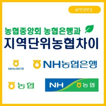 지역농협과 중앙농협 차이점 비교 정리자료_1