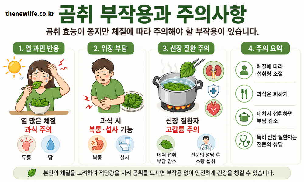 곰취 효능 부작용