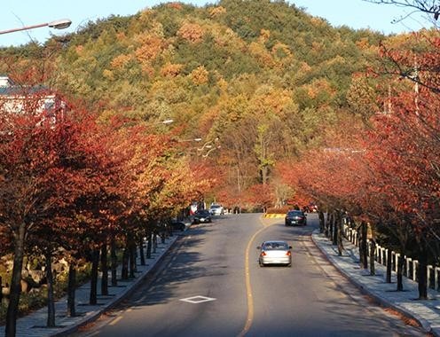 대구트래킹코스