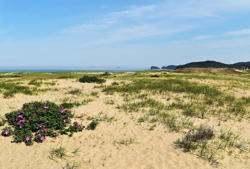 태안 가볼만한곳