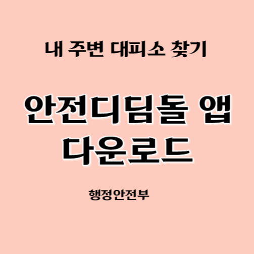 안전디딤돌 앱