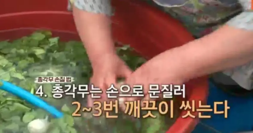 총각무 다듬고 절이기