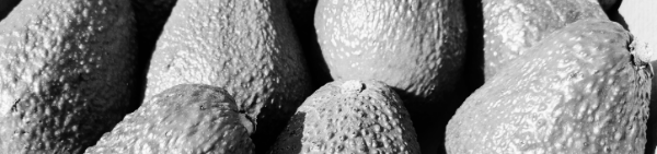 만생종: 3월 ~ 4월