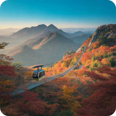 내장산국립공원(케이블카) 가상 이미지