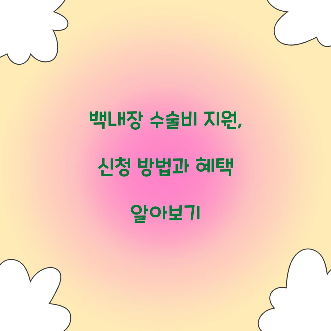백내장 수술비 지원
