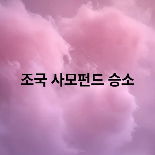 조국 사모펀드 승소