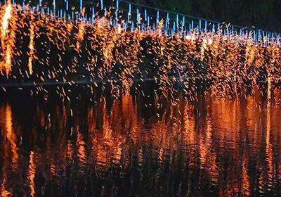 성주참외&amp;생명문화축제 일정 초청가수 주차장