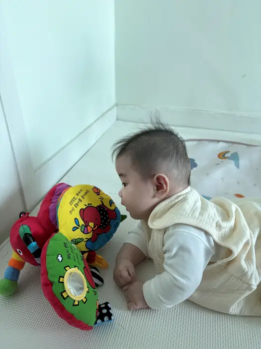 장난감보며 터미타임하는 아기