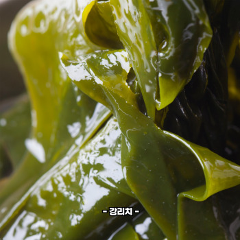 미역이란