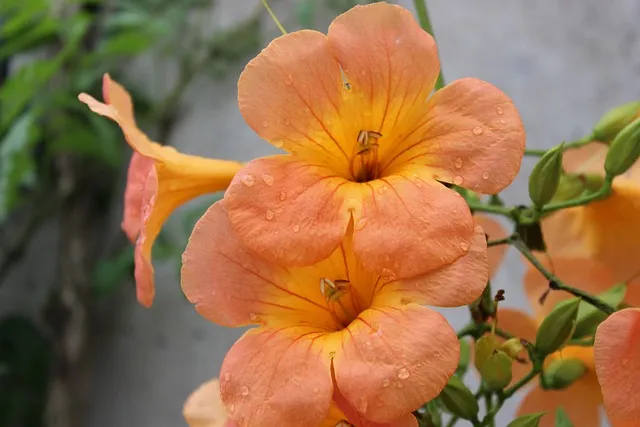 국립중앙박물관 상설전시 기획전시 예매 할인_7