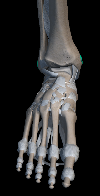 발목 안쪽 통증 원인 치료법