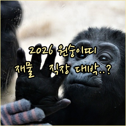 원숭이띠 2026년 종합 전망 재물운..