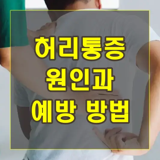 허리통증의 원인과 예방 방법