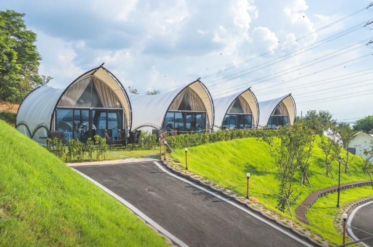 매일아침 무료수영장 호텔글램핑장 썸네일