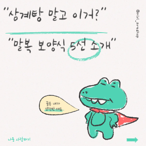 삼계탕 말고 이거? 말복 보양식 5선