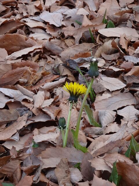 사망 후 해야 할 일: 신고&amp;#44; 계좌 해지&amp;#44; 상속 정리법