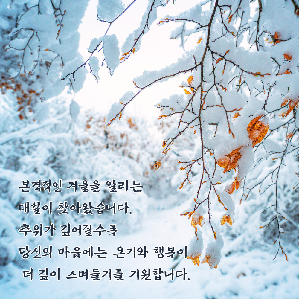 대설 인사말 이미지 12월 인사말 문구 모음