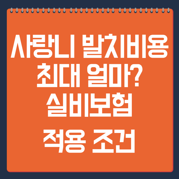사랑니 발치비용 최대 얼마? 실비보험 적용 조건