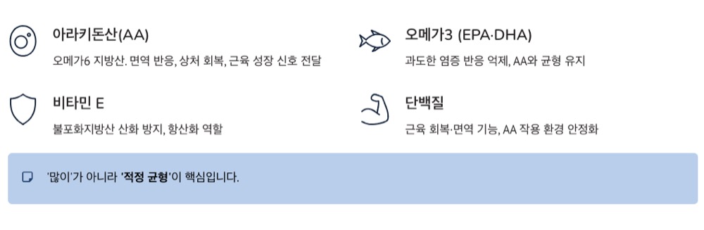 아라키돈산 영양소 4가지