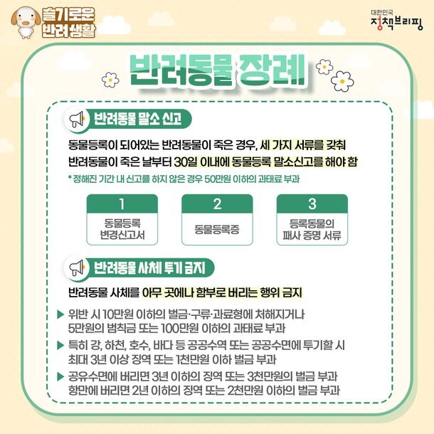 반려동물-장례