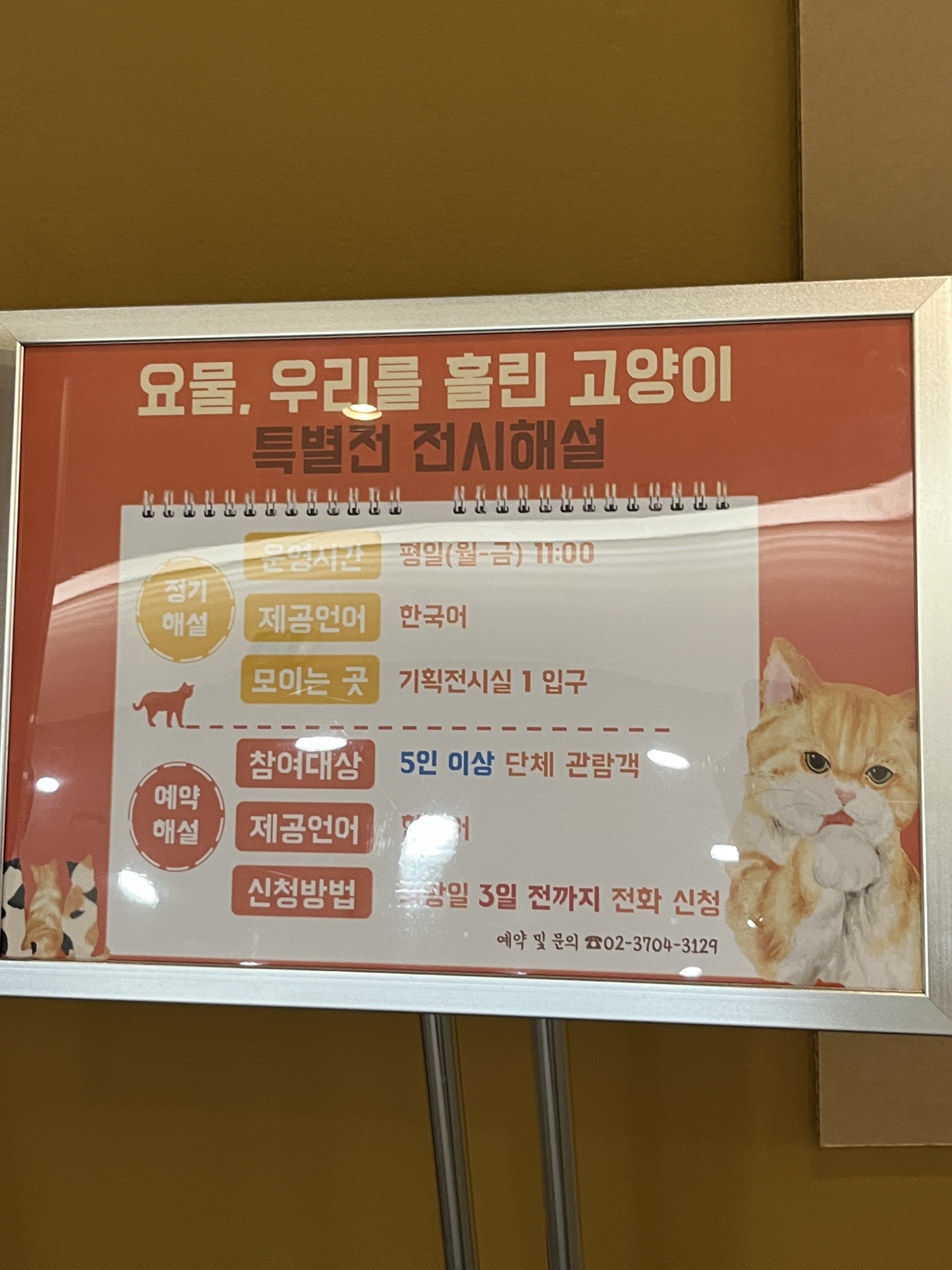 요물 우리를 홀린 고양이