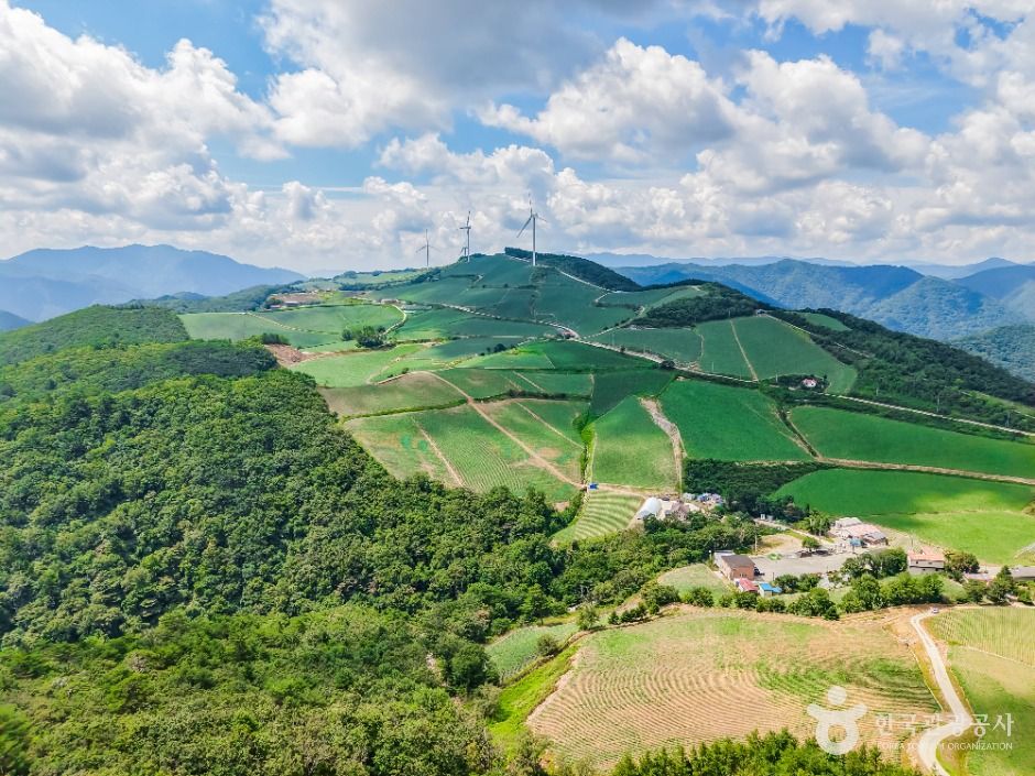 안반데기 평창 강원도 고랭지배추 감자 은하수 운해 풍력발전기