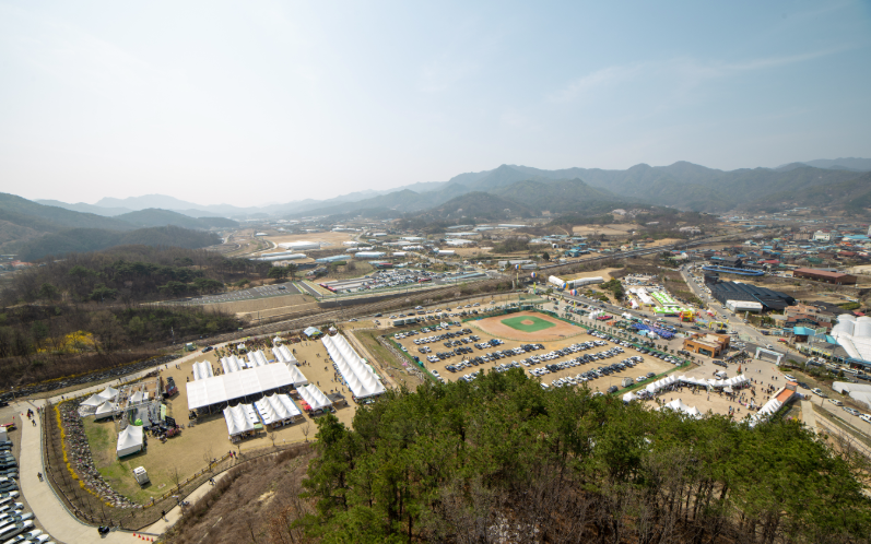 옥천묘목축제 전경