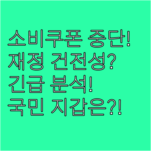 2차 소비쿠폰 중단의 복합적 쟁점과 ..