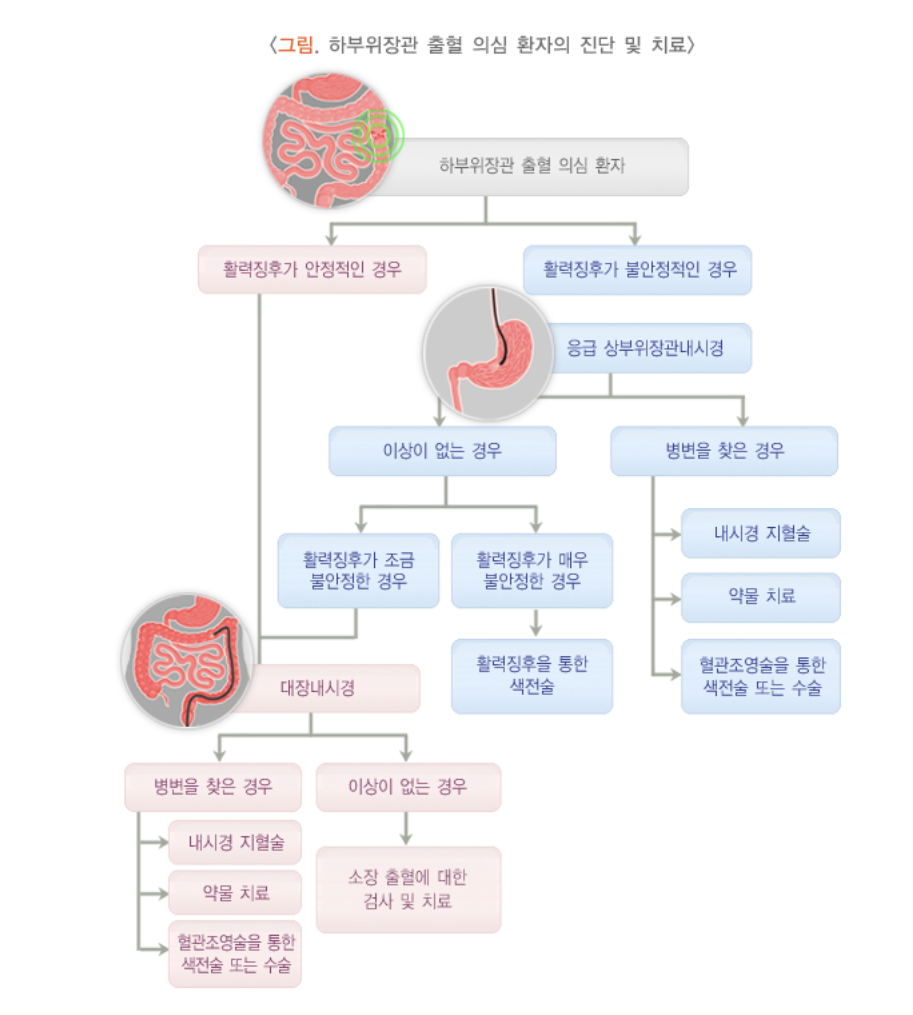 하부위장관 출혈 의심 환자 치료