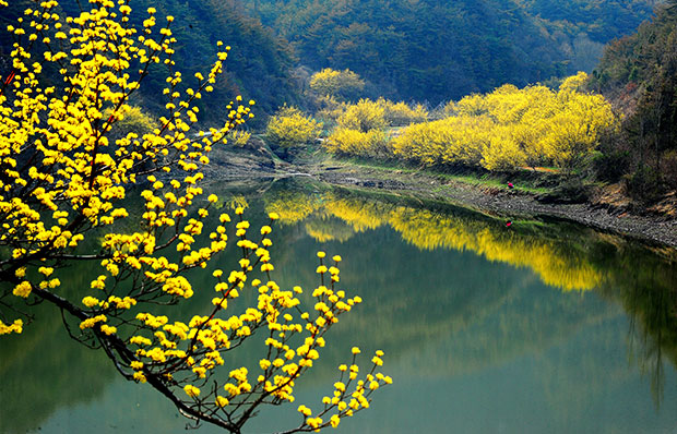경상북도 의성