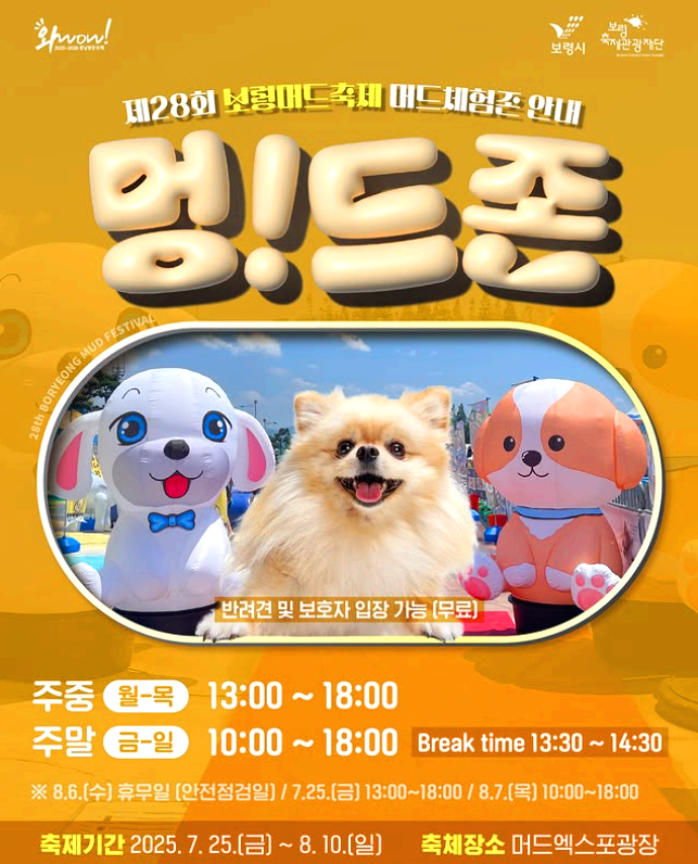 보령머드축제