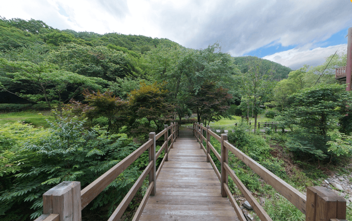 금산산림문화타운 자연 속에서 즐기는 산림 체험