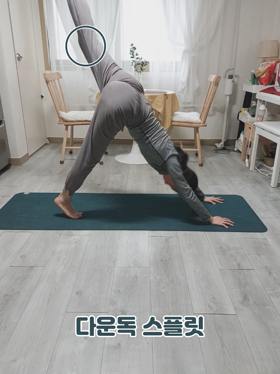 다운독 스플릿