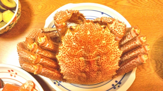 털게 사진