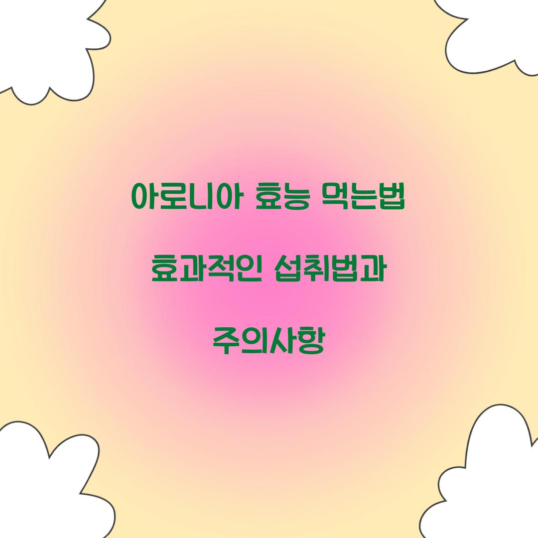 아로니아 효능 먹는법