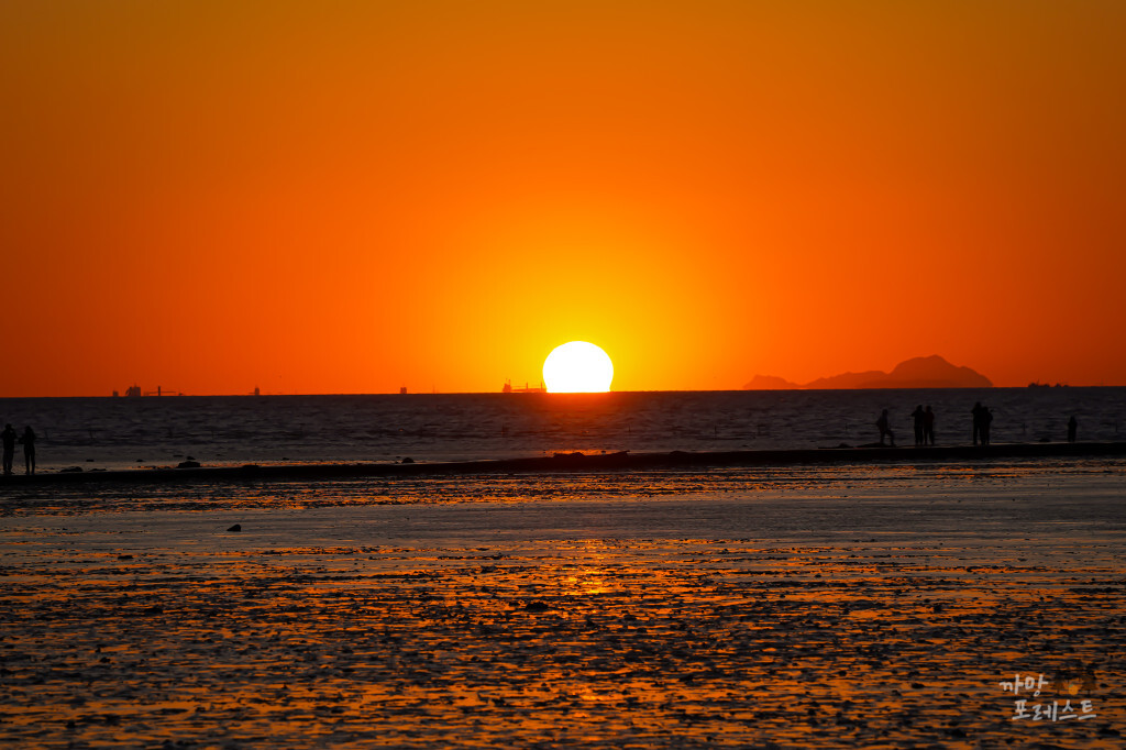 안산 탄도항 일몰