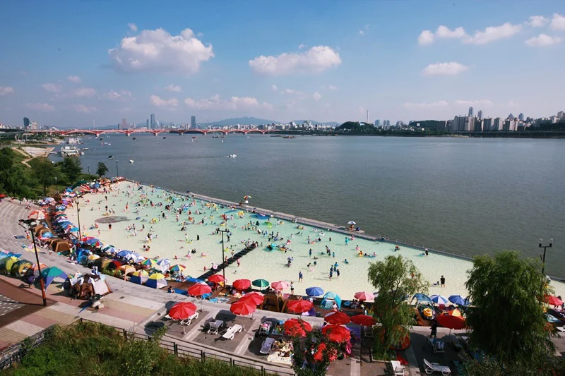 여름 한강 수영장