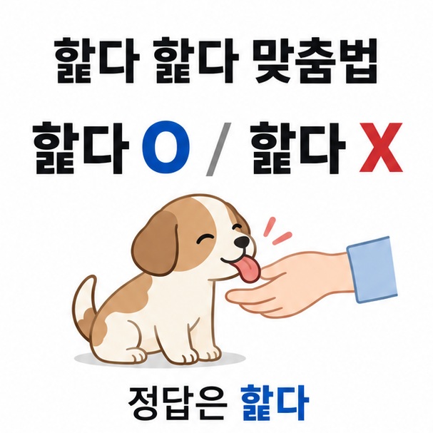 핥다 햝다 맞춤법이라는 제목과 맞는 표기 핥다, 틀린 표기 햝다를 비교한 대표 이미지