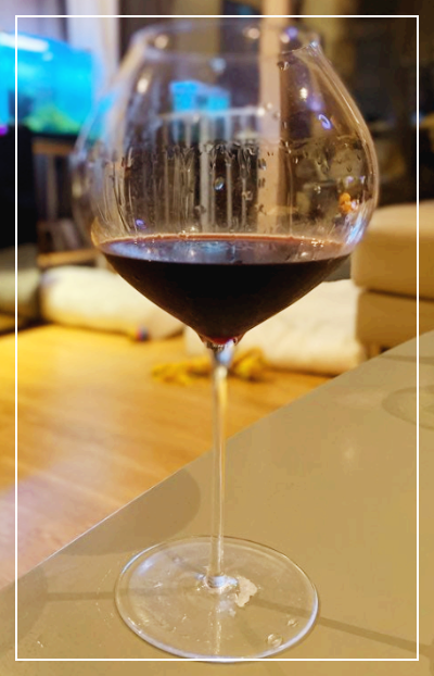 스페인 모나스트렐 포도품종 와인 카사로호 마초맨