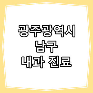 광주광역시 남구 호흡기, 내과 진료 하는 동네 병원