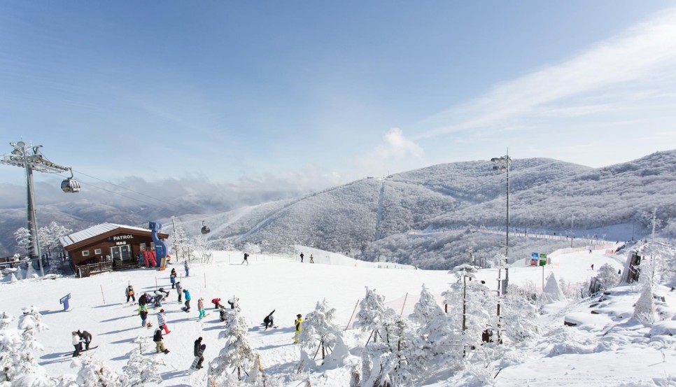 2023-2024 국내 스키장 개장일