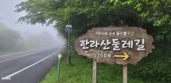 제주 한라산 둘레길 난이도 대중교통 날씨 팁_19