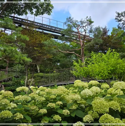 화담숲-예약하기-입장료-운영시간